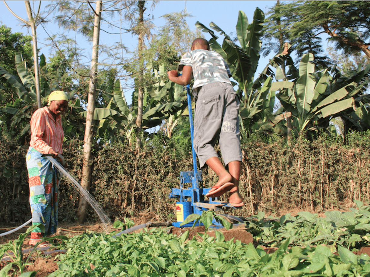Making headlines: Impact engineering