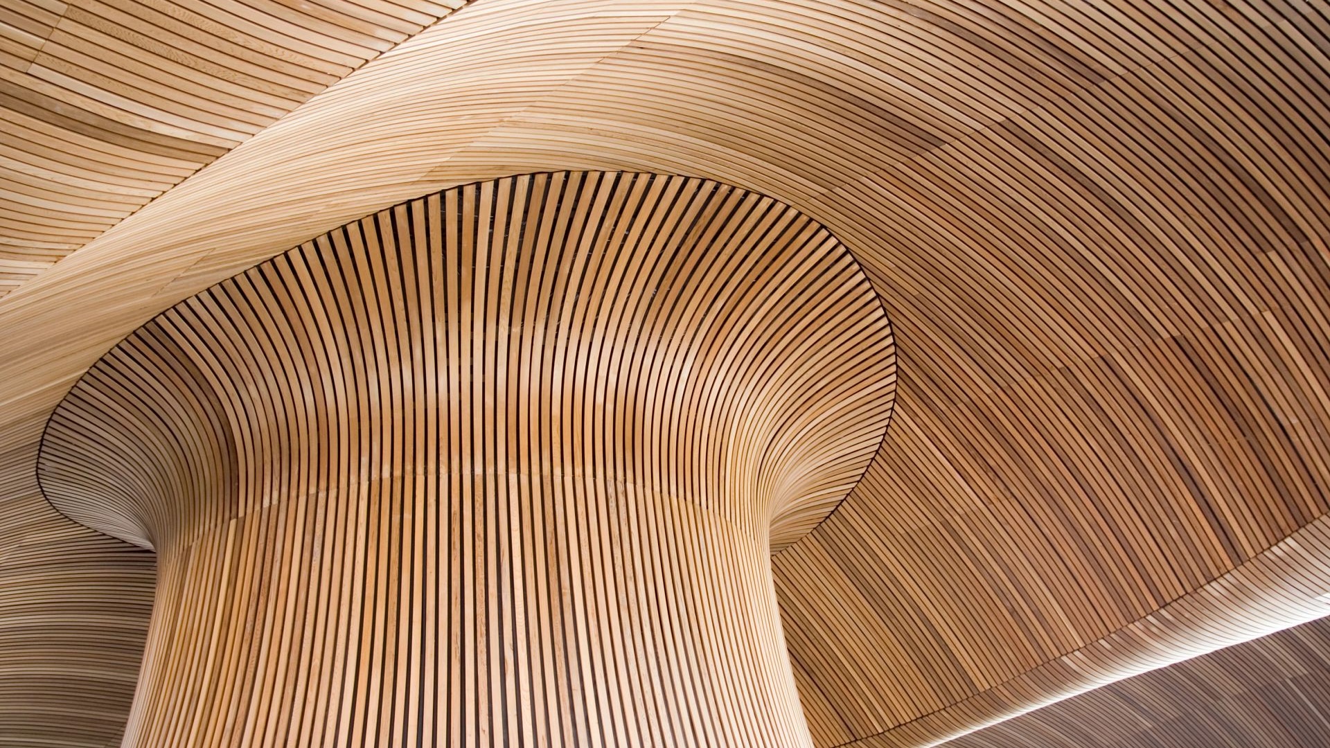 mass timber construction