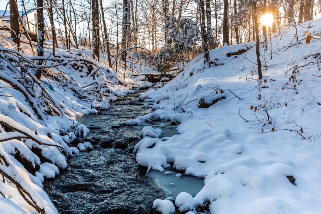 Winter stream in forest morning sunrise spring time