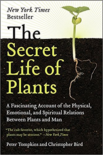 The secret life of plants