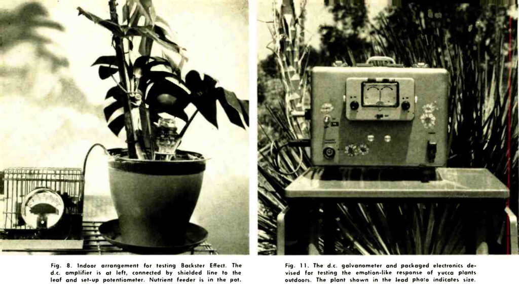 Lawrence Electronics and the Living Plant
